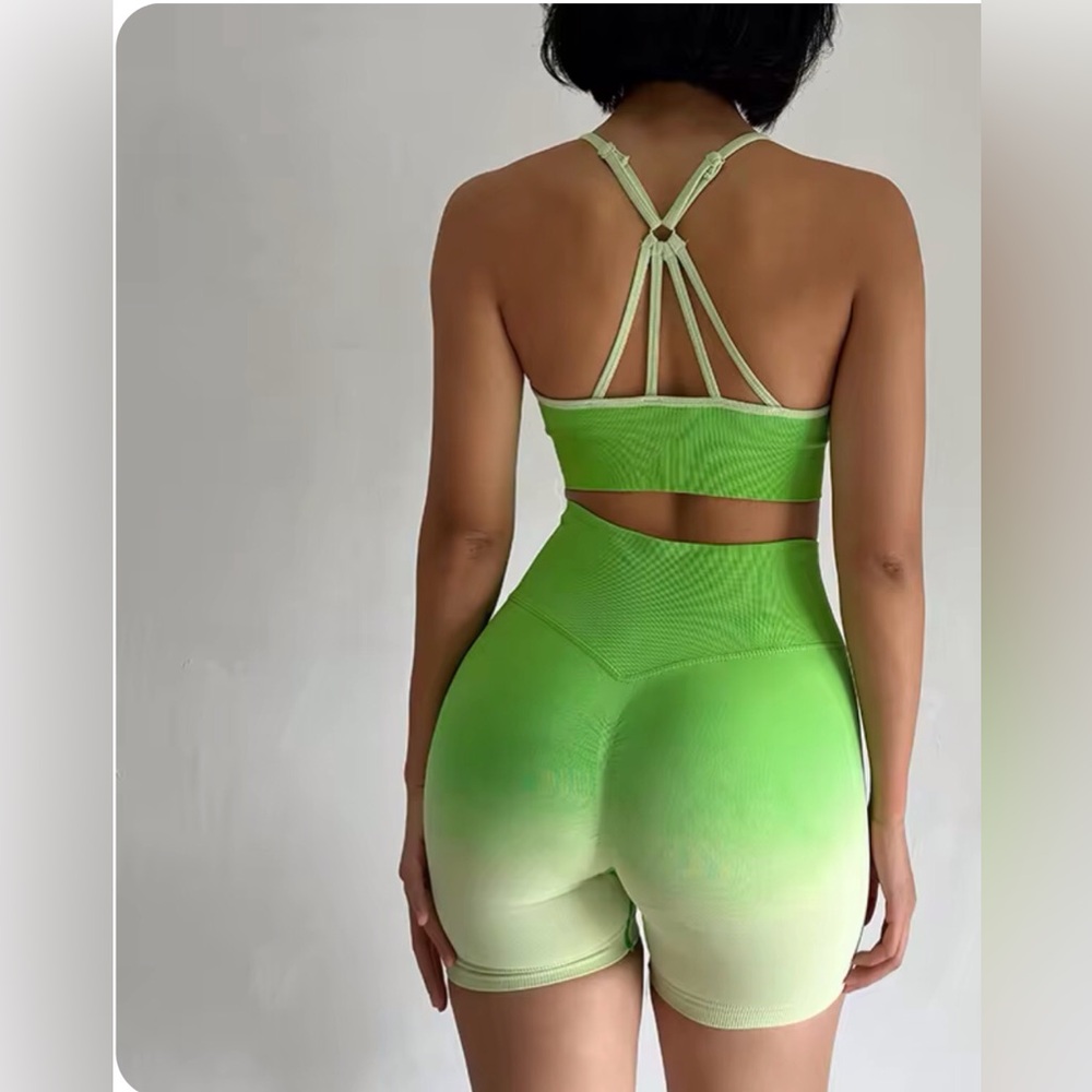 2 Pcs Seamless Sports Bra + High Waist Shorts Sport Set
